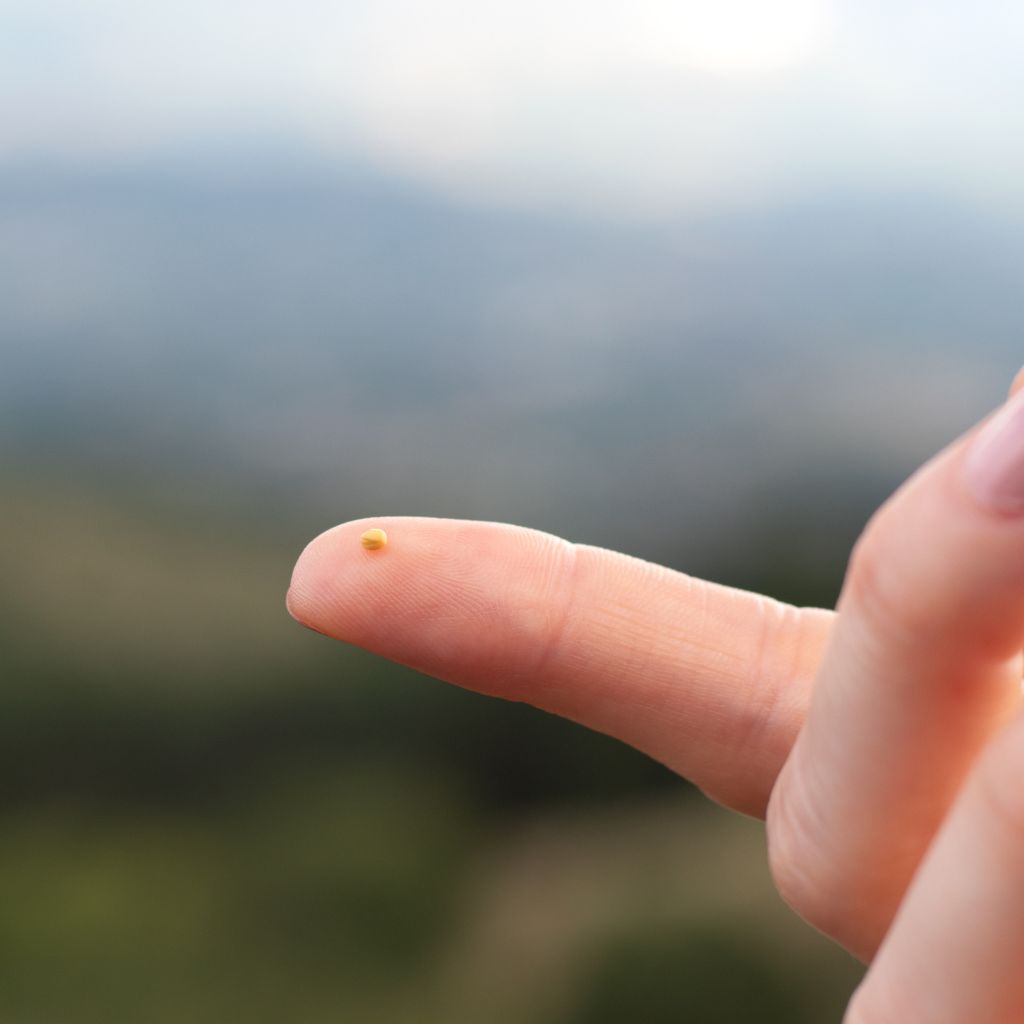 Mustard seed on a finger tip - Faith